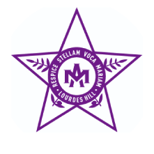Lourdes logo